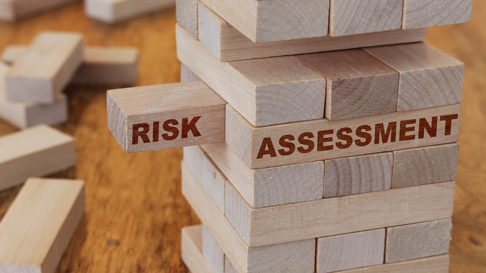 Development of Risk Registers and Risk Assessments Services