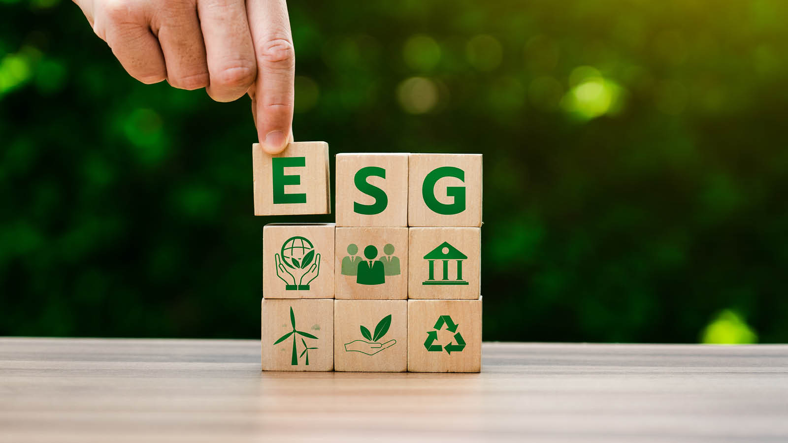 Environmental, Social, and Governance Services “ESG” Services