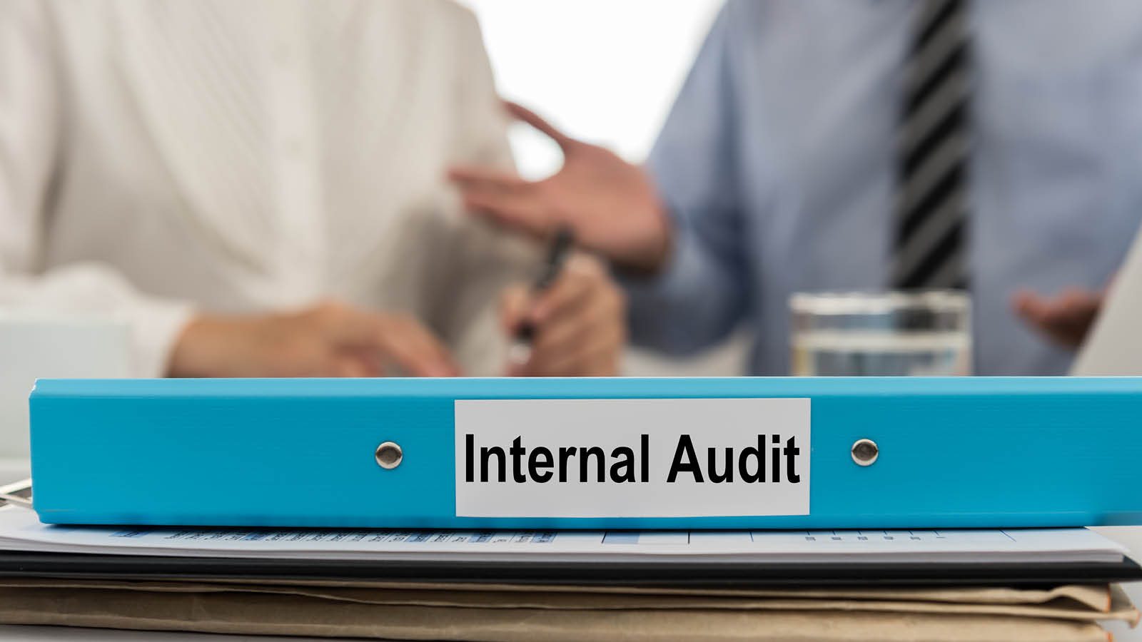 Outsource Internal Audit Function Services